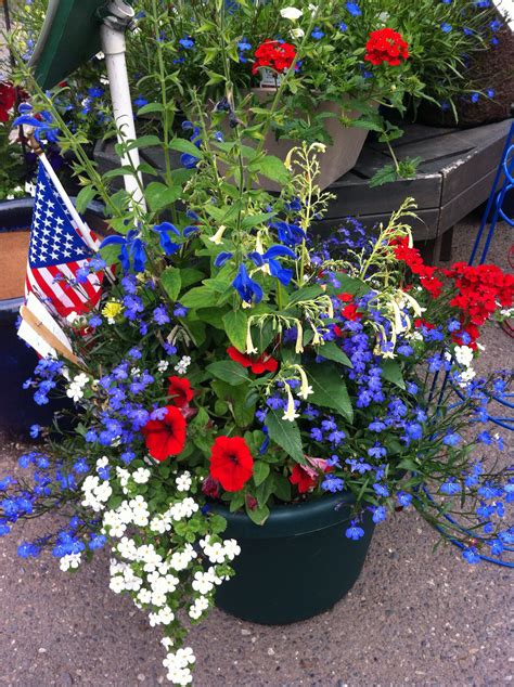 4th Of July Flowers Images