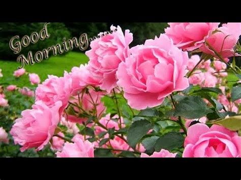 Download your search result mp3 on your mobile, tablet, or apne toote hue khwabon ko sambhalu kaise | best song ever seen mp3 duration 4:15 size 9.73 mb / best songs ever seen 3. Good morning Whatsapp status, video, song, download, hd ...