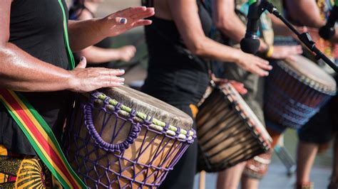 Drum People Playing Goblet Drums During Daytime Maitland Image Free Photo