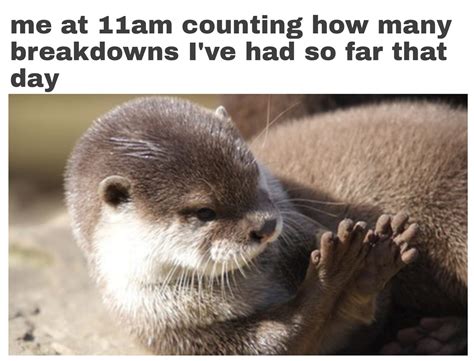 Otter Memes