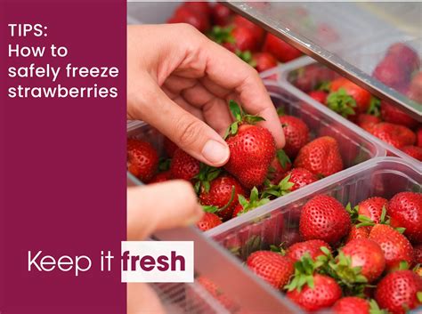 TIPS: THE BEST WAY TO STORE FOOD IN YOUR FRIDGE - KIC