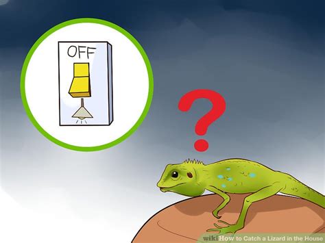 The lizard is a very common reptile that can be easily seen in parks, on river banks, in fields, etc. How to Catch a Lizard in the House: 14 Steps (with Pictures)