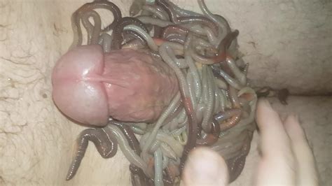 worms on cock