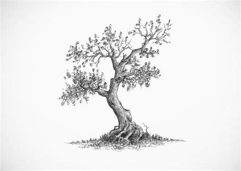Pin By Blue Rose Art On Tree And Bush Drawing Reference Landscape