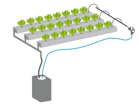 Hydroponic: NFT Rinne / NFT Kanal