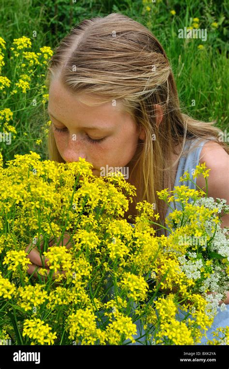 Young Girl Picking Flowers In A Field Stock Photo Alamy