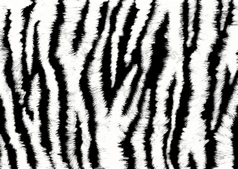 Black White Stripes Abstract Texture Tiger Stripe And Background Psd