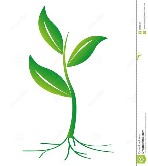 15 Growing Plant With Roots Vector Images Seed Growing Clip Art