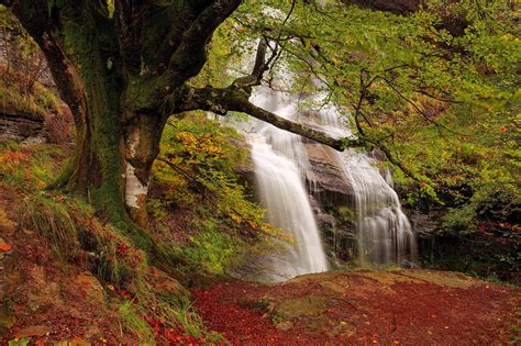 Hd Rocks Fall Waterfall Stream Forest Autumn Hd Pictures