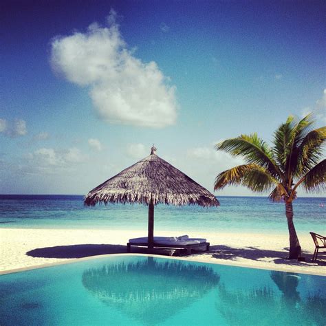 Bliss Maldives The Dreamers Honeymoon Bliss Cocoa Paradise