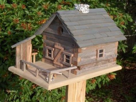 Birdhouse Designs for Different Species || The Birdhouse 