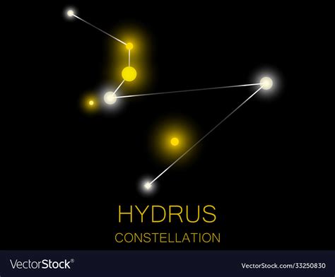 Hydrus Constellation Bright Yellow Stars Vector Image