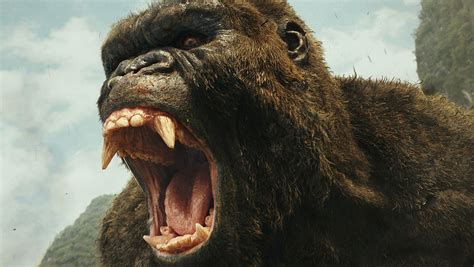 Skull island builds up many improvements and marks it as the next. 'King Kong Skull Island' TV Series in the Works ...