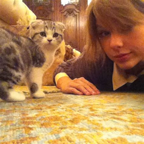 Taylor Swift Shows Off Awful Scratch From Cat Meredith In Photo New