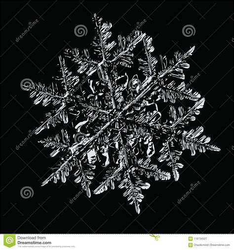 White Snowflake On Black Background Stock Illustration Illustration