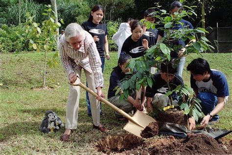 World Renowned Conservationist Dr Jane Goodall In Greece For First Time