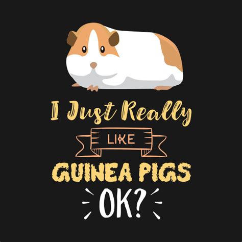 I Just Really Like Guinea Pigs Ok Funny Guinea Pig Birthday T