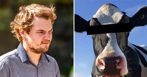 Man Had Sex With Cow Before Being Trampled He Told Farmers Im Sorry