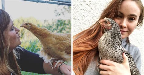 Stop Kissing And Snuggling Your Chickens Cdc Warns