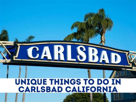 3 Unique Things To Do In Carlsbad California C Boarding Group