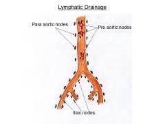 Obvious change in a wart or mole. MONSTER SDR FLASHCARDS Georgetown SMP Flashcards - Cram.com