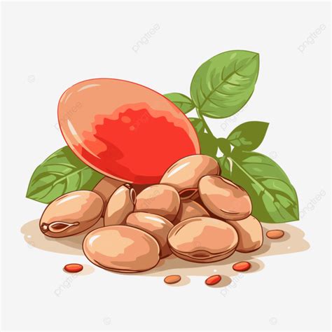 Pinto Bean Vector Sticker Clipart Peach Red Almond Nut And Leaves Cartoon Sticker Clipart Png