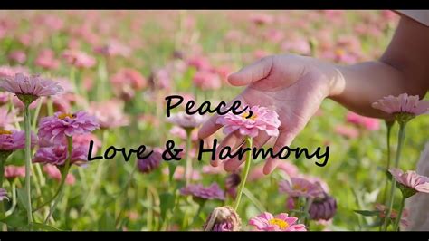 Music For Peace Love And Harmony With Self And Nature Youtube