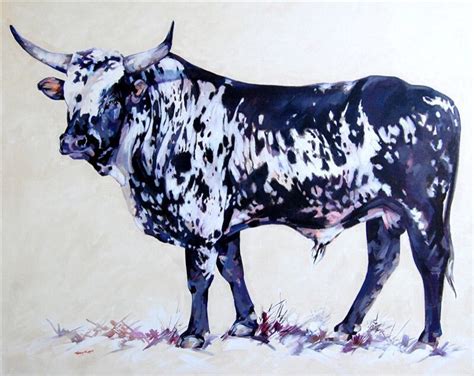 Artist Terry Kobus © Nguni Bull Oil On Canvas 1000 X 1250