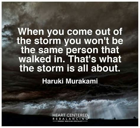 When You Come Out Of The Storm You Wont Be The Same Person That Walked