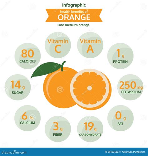 Health Benefits Of Orange Info Graphic Fruit Vector Illustration Stock