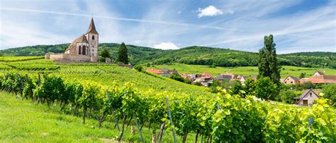 Französisch tarte flambée ‚flambierter kuchen') ist eine spezialität aus dem elsass und lothringen, dem saarland sowie der benachbarten pfalz und baden. Elsass Reisen & Urlaub【ᐅ】2020 / 2021 buchen