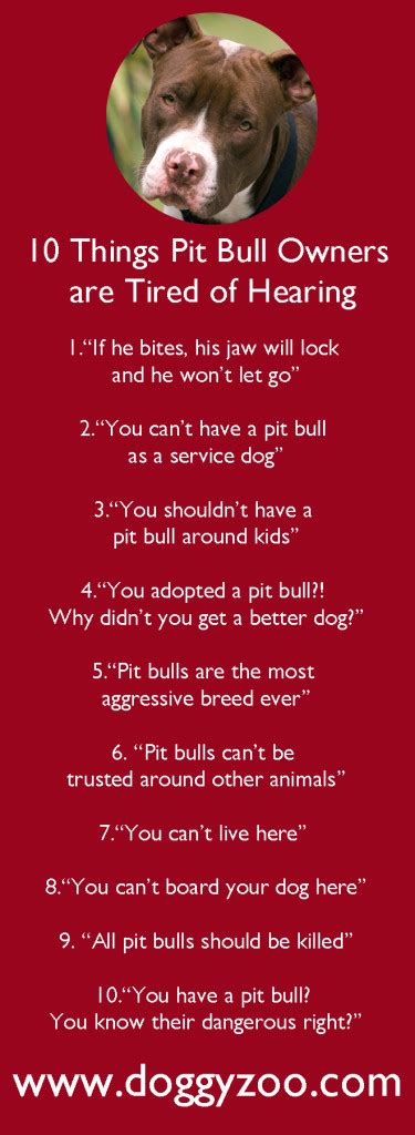 10 Things Pit Bull Owners Are Tired Of Hearing