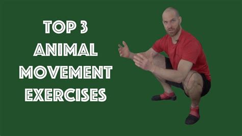 Top 3 Animal Movement Exercises Youtube