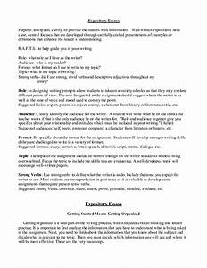 informative essay thesis examples