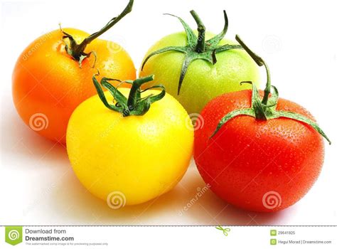Cluster Of Red Yellow Orange And Green Tomatoes Stock Image Image Of