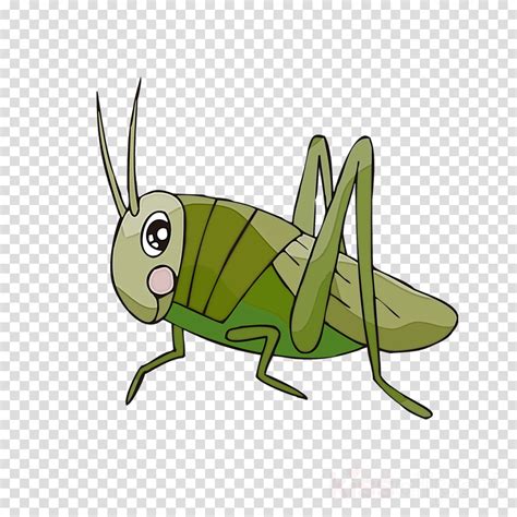 Cricket Insect Cartoon Cartoon Animal Clipart Insects 20 Free