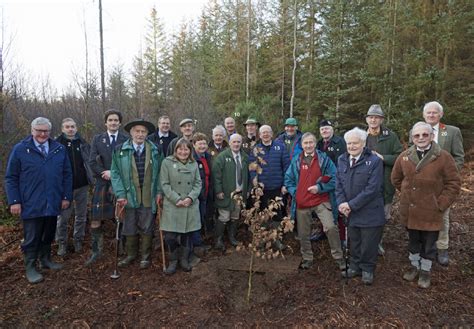 Centenary Of The Forestry Commission Tree Planting