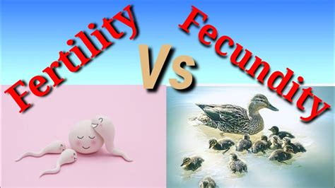 Difference Between Fecundity And Fertility In Hindi Urdu Youtube