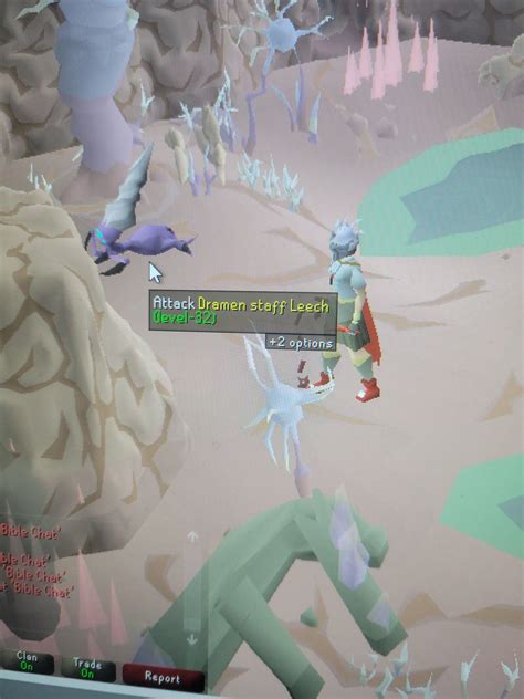 While doing Desert Treasure 2 I found a Dramen staff Leech (right