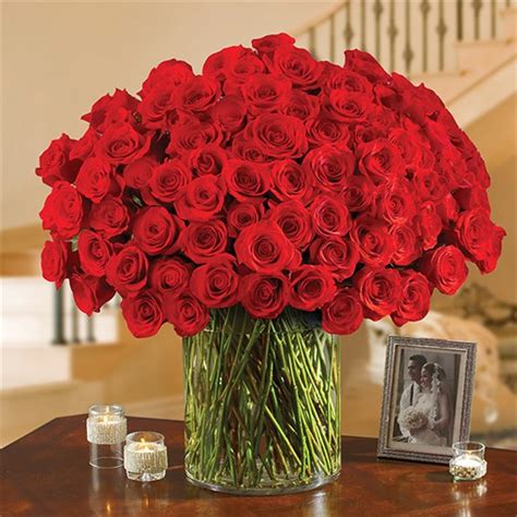 We did not find results for: 100 Premium Red Roses | 1-800-Flowers 4 Gift Seattle