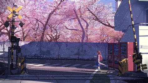 Anime Original Cherry Blossom Umbrella Hd Wallpaper Peakpx