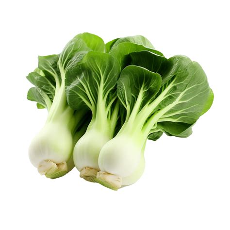 Ai Generated Bok Choy Png Isolated On Transparent Background 35647638 Png