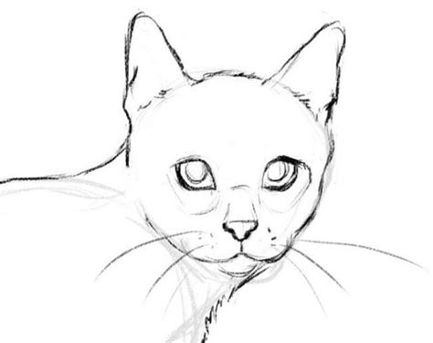 Как нарисовать кошку карандашом поэтапное рисование красивого сидящего