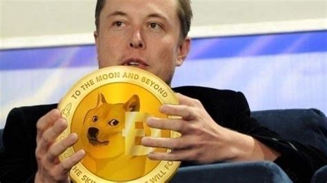 Elon musk has broken his silence on twitter to promote the 'joke' cryptocurrency dogecoin, sending the asset soaring as much as 60 percent and drawing musk, who earlier this week had vowed to stay 'off twitter for a while', returned early thursday with a flurry of memes promoting the obscure and. Elon Musk noemt zichzelf de voormalige oprichter van op ...