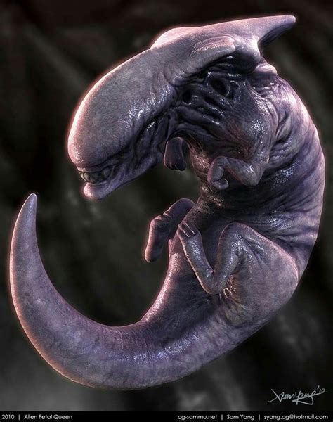 Xenomorph Queen Embryo Alien Vs Predator Alien Art Alien