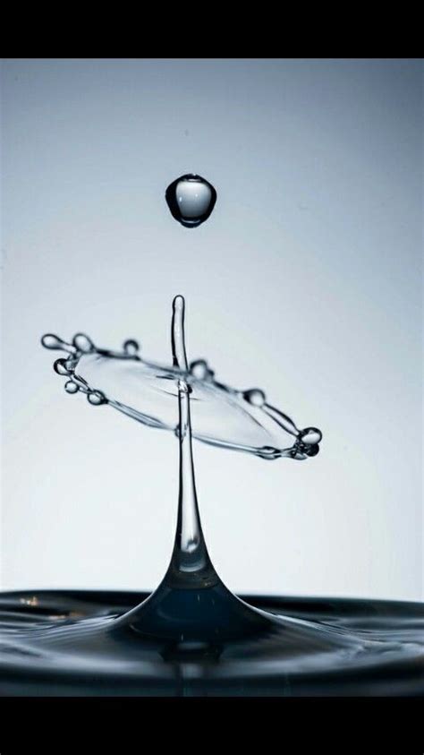 Water Drop Water Drops Wonder Photography Ideas Rules Water Droplets