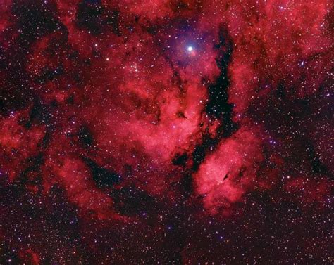 Ic 1318 The Butterfly Nebula Sky And Telescope Sky And Telescope