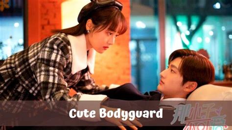Download Drama China Cute Bodyguard 2022 Full Episode Sub Indo Beserta Sinopsis Dan Trailernya