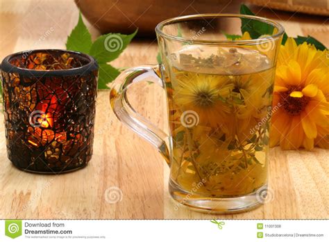 Multi Herbal Sunny Tea Stock Photo Image Of Evening 11001308