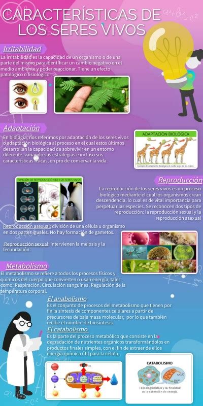 InfografÍa Caracteristicas De Los Seres Vivos